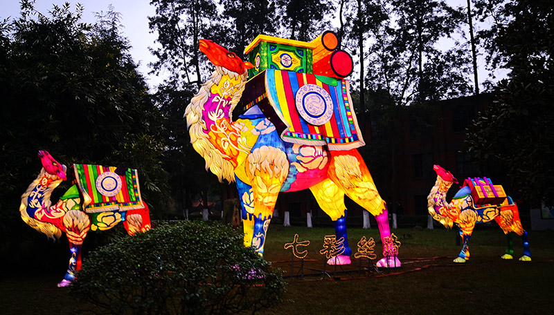 彩燈學(xué)院，自貢彩燈，